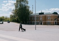 Создание комфортной городской среды – один из ключевых факторов, определяющих качество жизни и благополучие жителей. Так, в Каменке Пензенской области ожидается масштабное благоустройство пешеходной зоны и прилегающей территории по улице Ворошилова (от магазина «Мандарин» до магазина «Мебель»). 