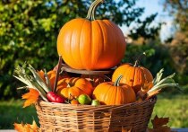 Тыква — удивительный овощ, который в кулинарии используется как в свежем виде, так и в запеченном, вареном или сушеном