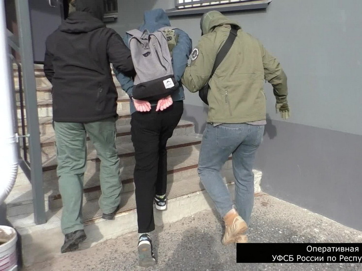 Йошкаролинец осужден за экстремистские комментарии