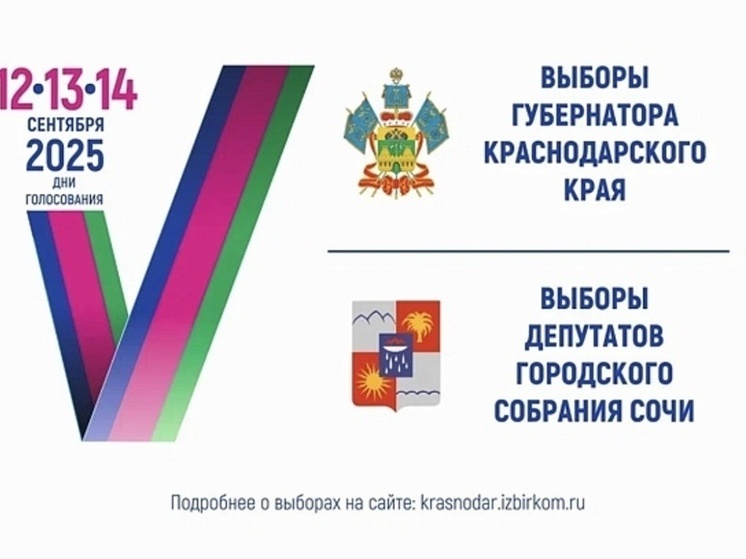Более 200 избирательных участков открылись в Сочи