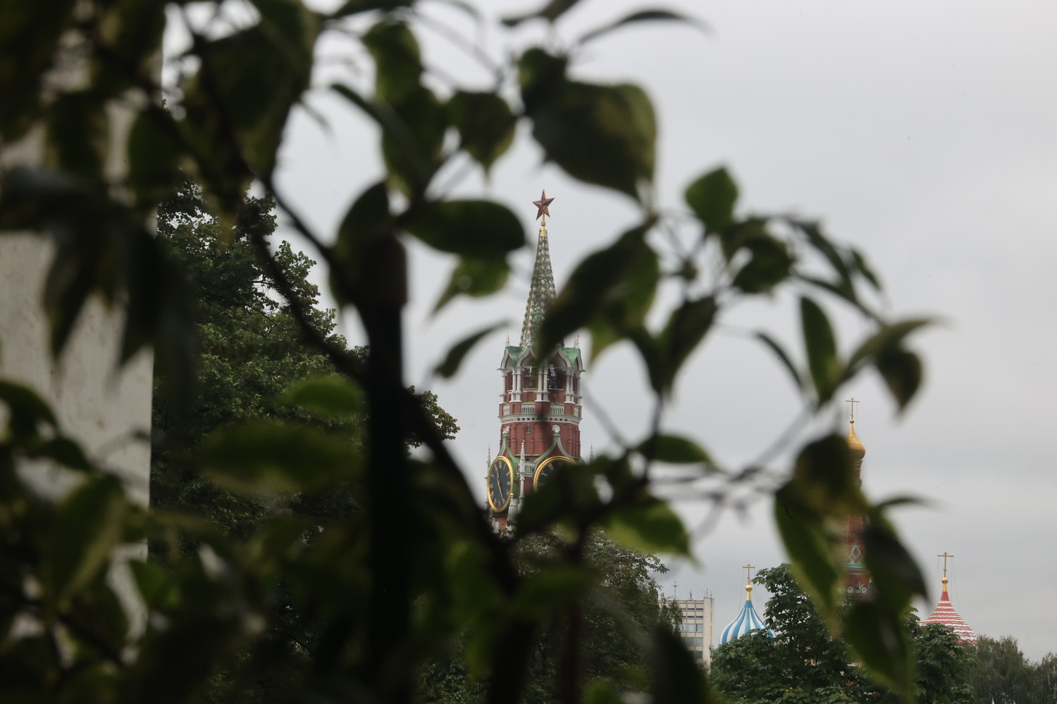 Кремлевский Зимний сад