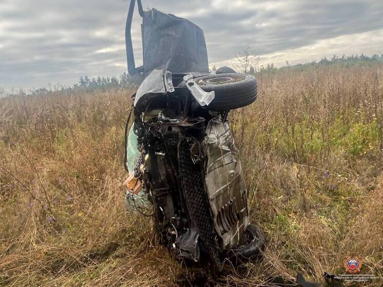 В Краснояружском районе водитель погиб после наезда на опору ЛЭП