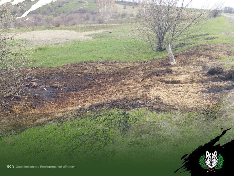 В Белгородской области водитель выжег траву жидкостью из цистерны и получил штраф