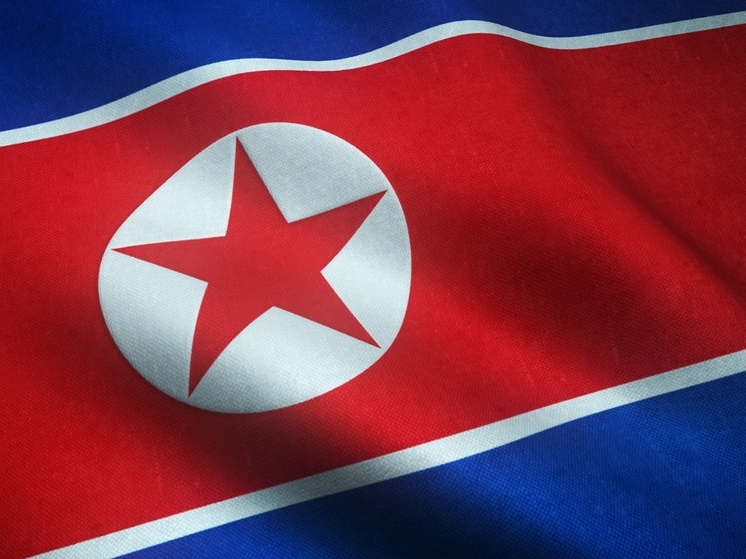 Биолог Китаев объяснил уничтожение следов Ким Чен Ына после переговоров в Китае