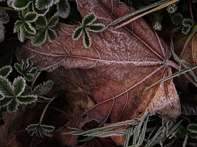 Синоптики 5 сентября обещают в Смоленске малооблачную погоду
