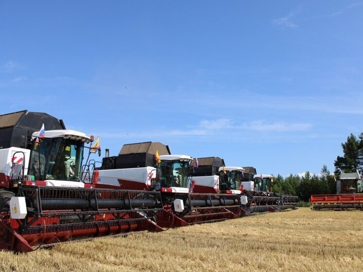 В Чувашии собрано более 600 тысяч тонн зерна, близок рекорд