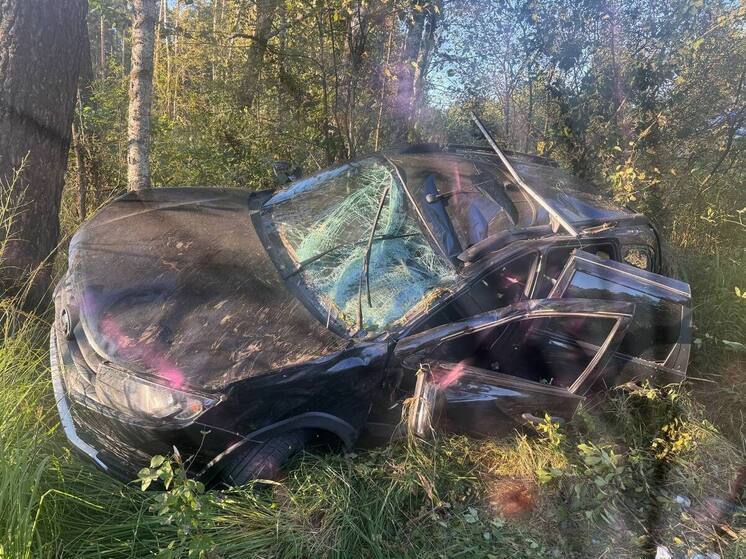 Под Брянском в ДТП столкнулись два легковых автомобиля