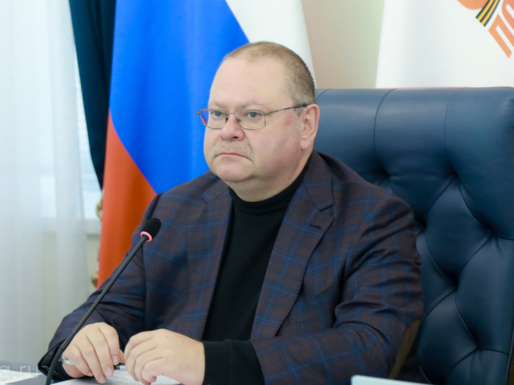 В Пензенской области запустят прокат предметов для новорожденных