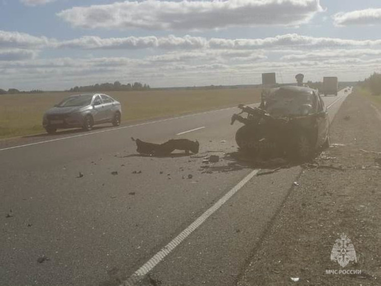 На калужском участке Киевского шоссе разбились двое