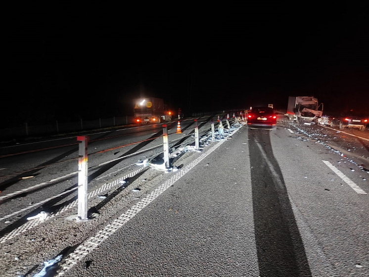 В Вяземском районе на трассе М-1 в ДТП погибла женщина