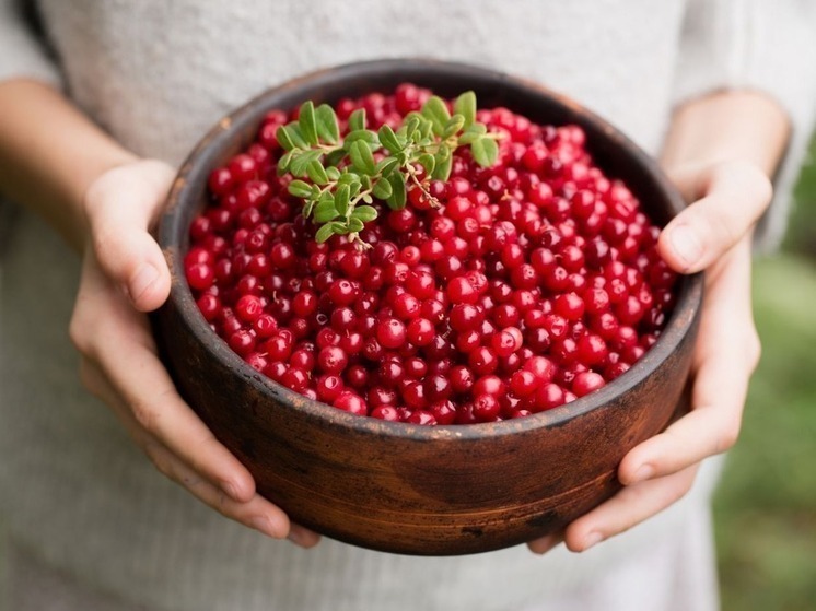 Народные приметы на 5 сентября: Луп Брусничник поможет псковичам стать синоптиками