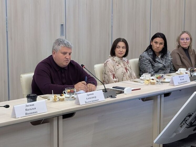 Дронов встретился с блогерами-предпринимателями и назвал их коллегами