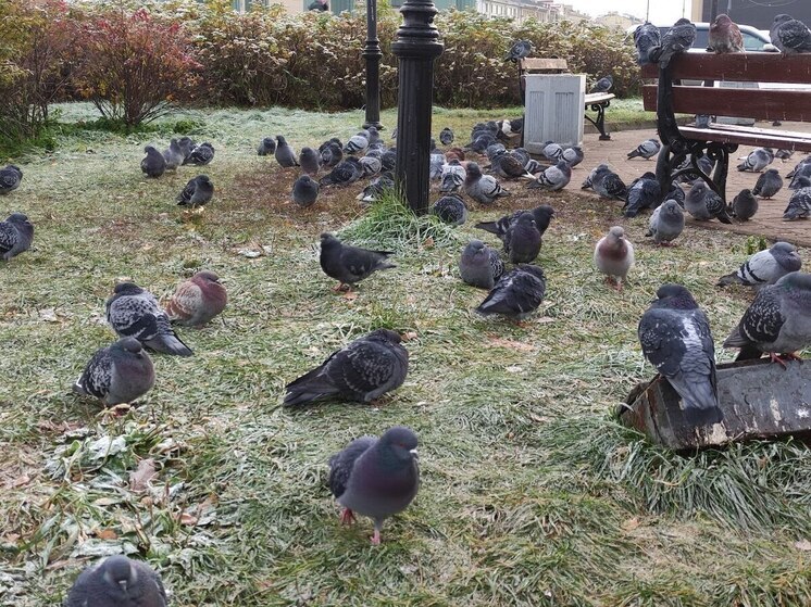 Погода в Хакасии с 5 по 7 сентября: ночью холодно, днем – дожди