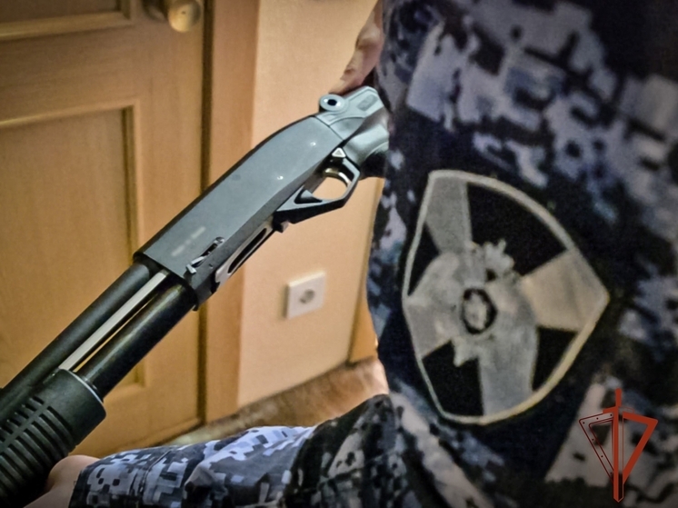 В августе росгвардейцы изъяли у жителей Хакасии 87 единиц оружия