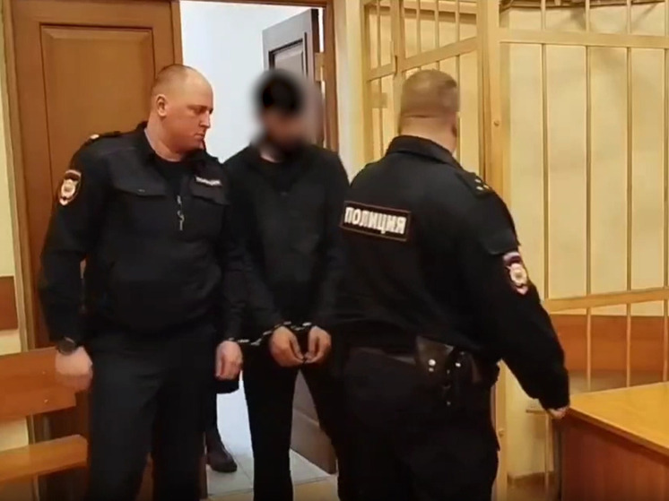 Мигранту, убившему питерского врача в Ярославле вынесен приговор
