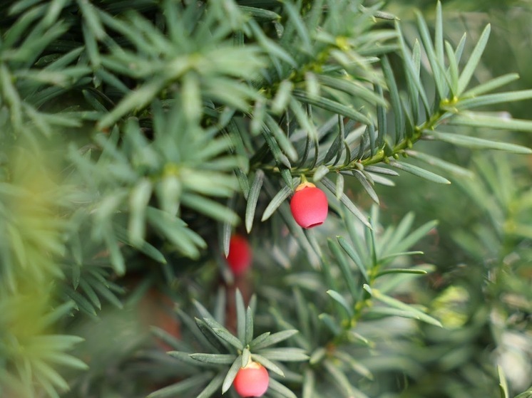 В Астраханской области 5 сентября ожидается до +27℃