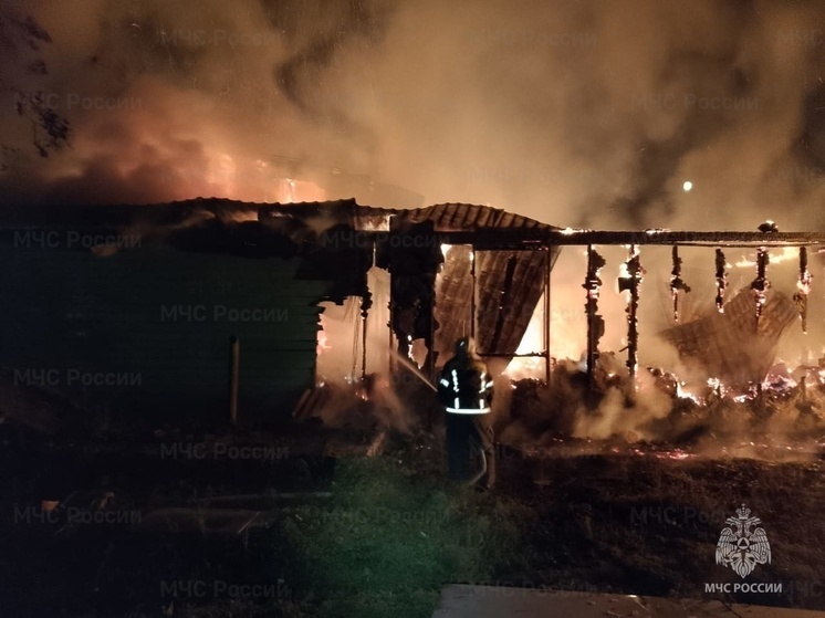 Восемь спасателей тушили пожар в калужском Шамордино