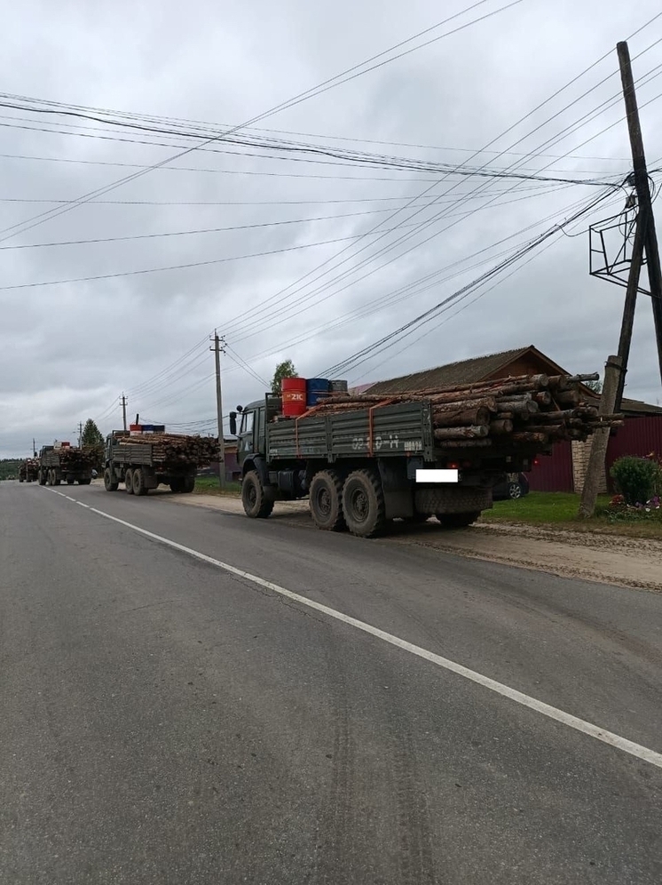 Владимирская область отправила в Запорожскую область 80 кубов леса