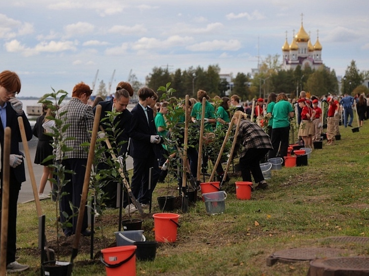 В Архангельске кооператоры со всей России высадили яблоневую аллею в честь 80-летия Победы