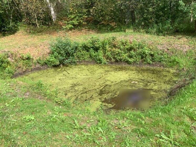 В деревенском пруду Владимирской области обнаружили тело пожилой женщины