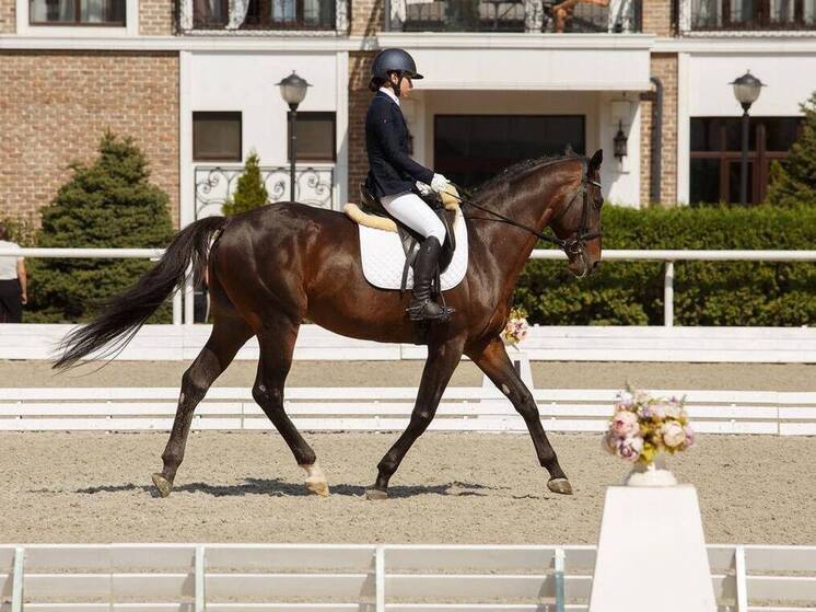 Наездница из Северной Осетии завоевала два «золота» на турнире в Таганроге