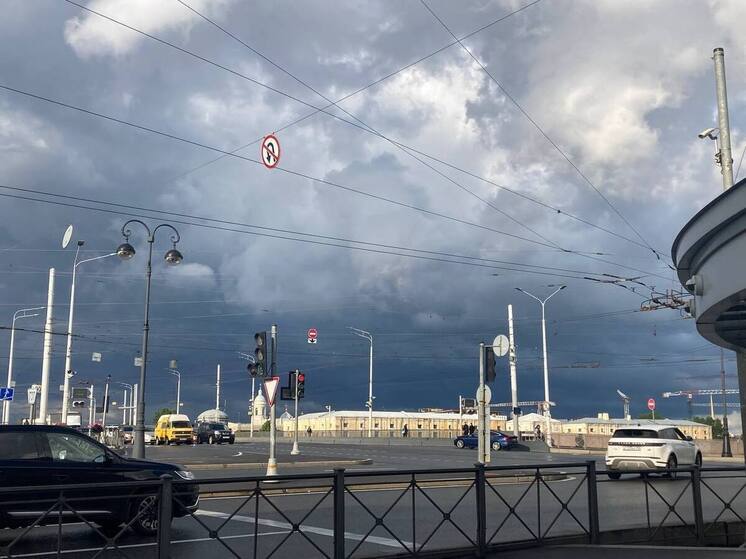 Циклон пригонит в Петербург тучи и дожди, но воздух прогреется до +23