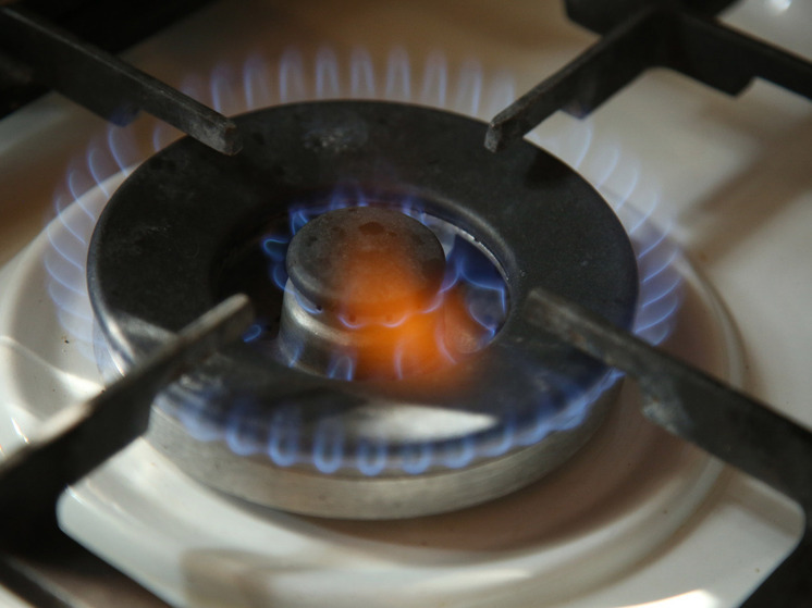 Монголия заявила о готовности начать строительство "Силы Сибири-2"