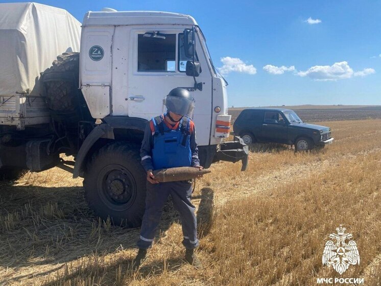 В Кировском районе уничтожены 7 боеприпасов времен Великой Отечественной войны