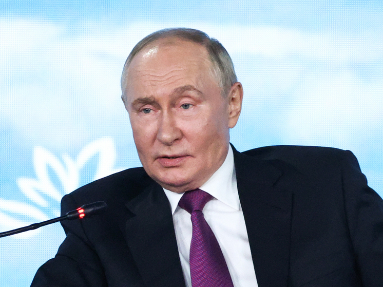 Путин: РФ будет развивать Трансарктический транспортный коридор