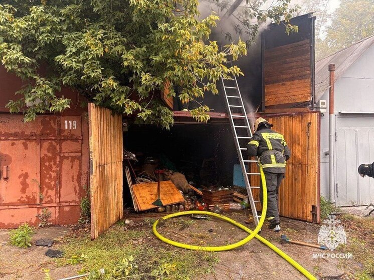 В Туле в гаражном кооперативе загорелось одно из строений