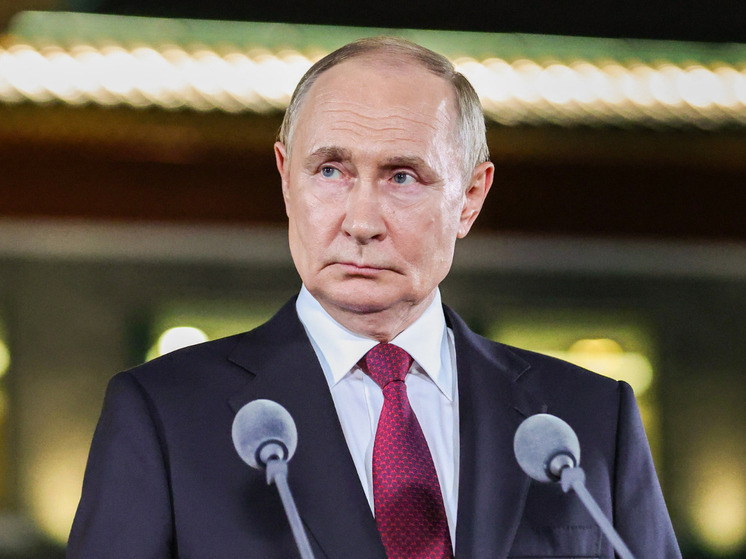 Путин: кабмину нужно утвердить стратегию по редкоземам до ноября 2025-го