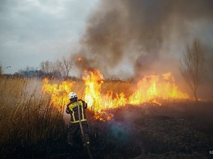 В ЛНР спасатели продолжают бороться с сухотравными пожарами