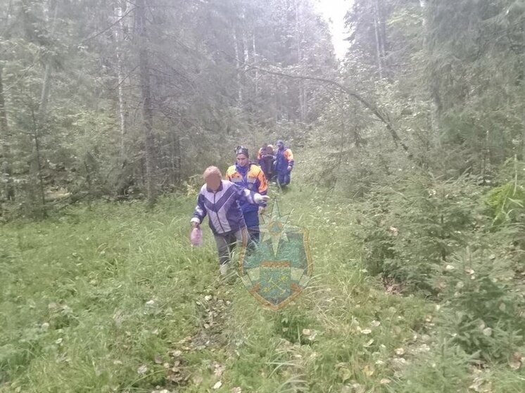 В лесу Гатчинского района спасатели отыскали женщину и мужчину
