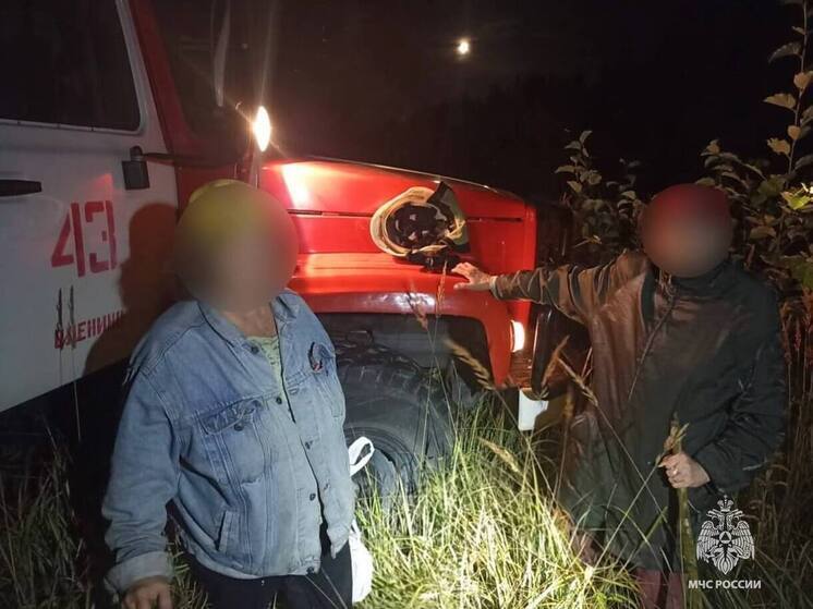 Поздно вечером в лесу в Тверской области искали пропавших грибников