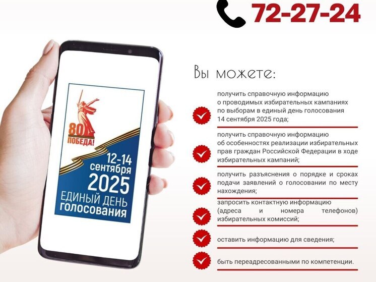 Тамбовчане смогут проголосовать за нового губернатора на дому