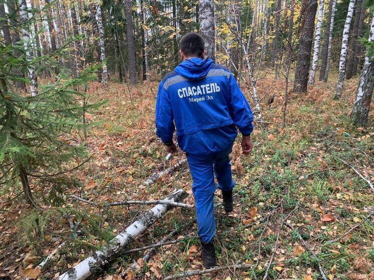 За лето спасатели 25 раз проводили поисковые работы в лесах Марий Эл