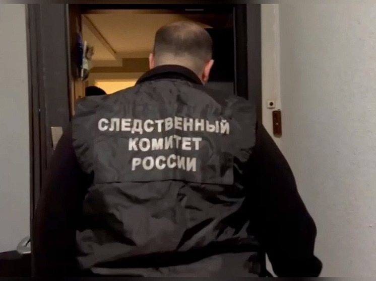 В Ленобласти задержали троих «контрактников» по подозрению в мошенничестве
