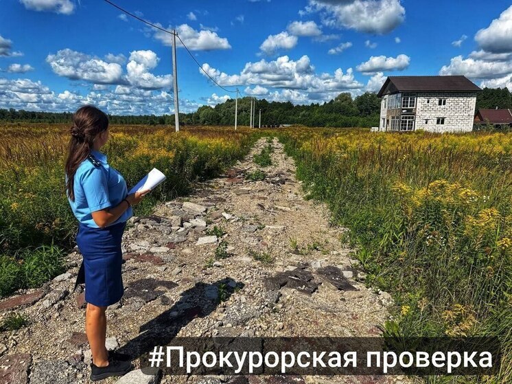 Прокуратура добилась освещения дороги к участкам для многодетных под Ясногорском