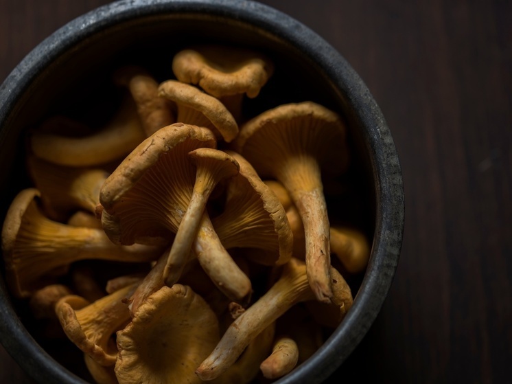 Жителей НАО предостерегли от сбора грибов на скотомогильниках