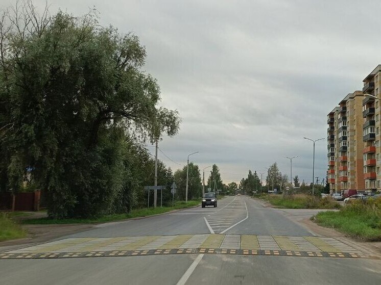 Новая искусственная неровность появилась в деревне Портянниково