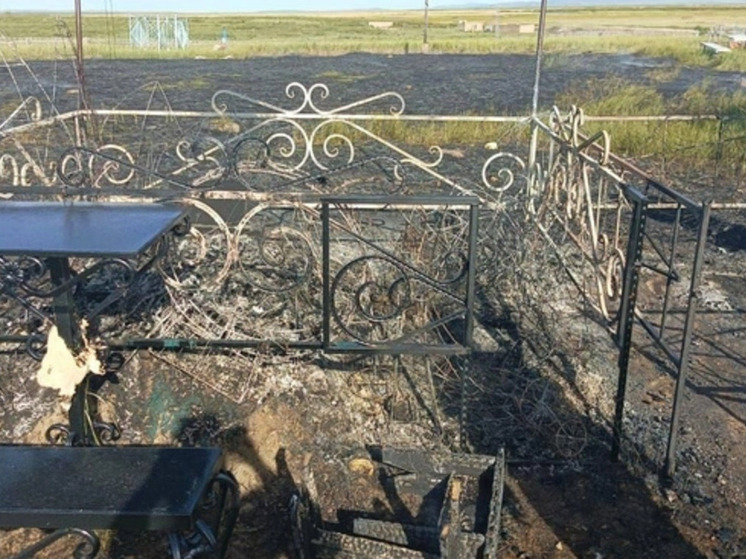Могилу участника СВО подожгли в Забайкалье