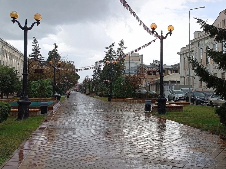 Облачную погоду ожидают в Тамбове