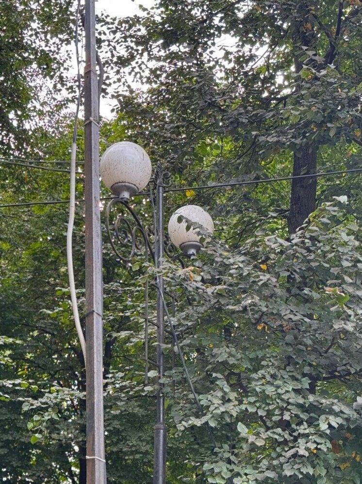 Парки в Калуге станут ещё светлее