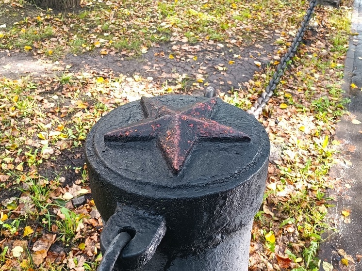 Липы портят внешний вид военного штаба и краеведческого Музея в Екатеринбурге