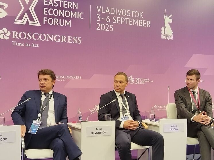 Тарас Скворцов отметил, что всеобъемлющий закон нужен для развития прорывных технологий в России