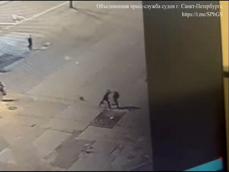 Пытавшийся убежать от полицейского мужчина в Петербурге получил два дня ареста