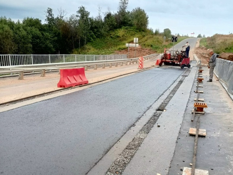 На мосту в Старорусском округе начали укладывать слой литого асфальта