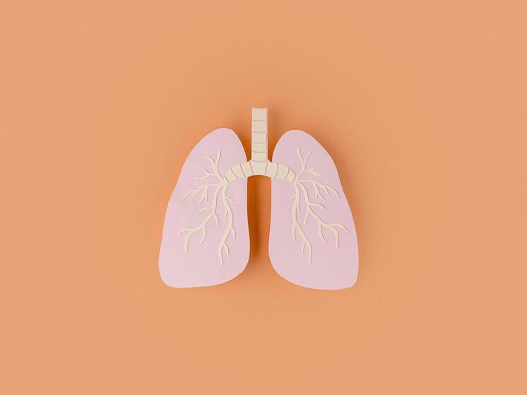  Oncotarget: новое лекарство остановило рак лёгких с редкой мутацией