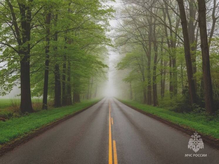 МЧС России предупреждает о тумане в Псковской области