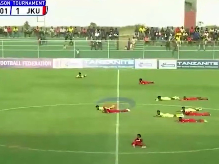 Футболисты и судьи притворились мертвыми, спасаясь от роя пчел